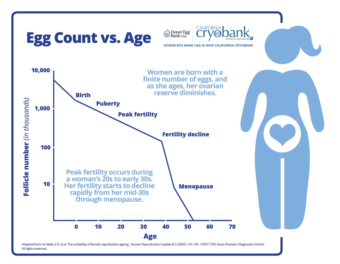 Egg Count vs. Age