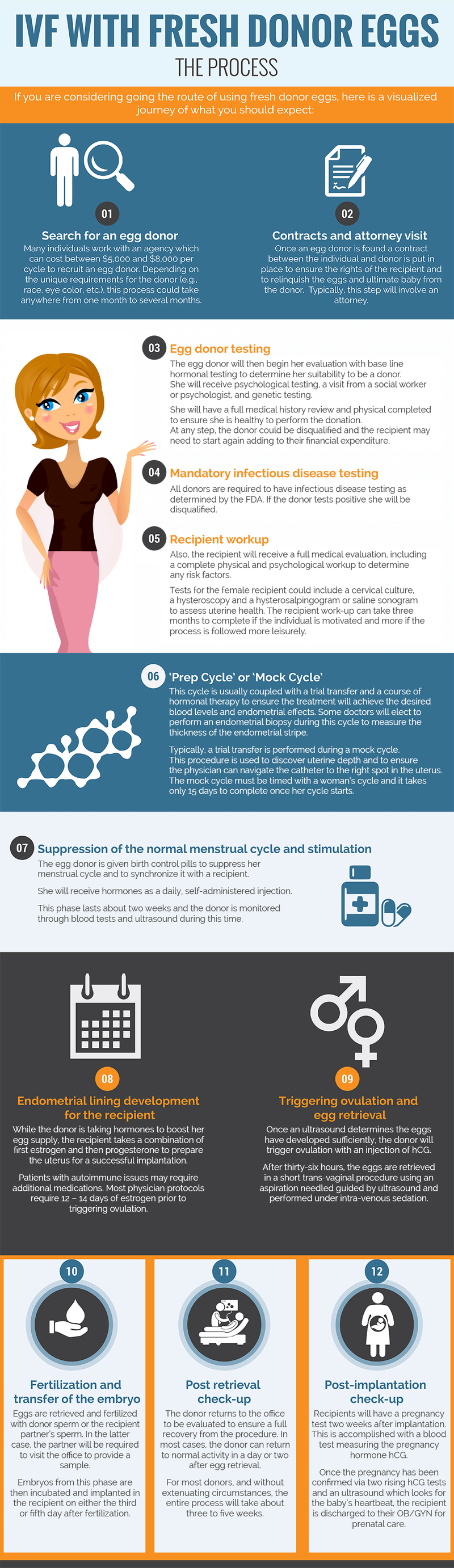 Fresh Donor Eggs - Step by Step infographics